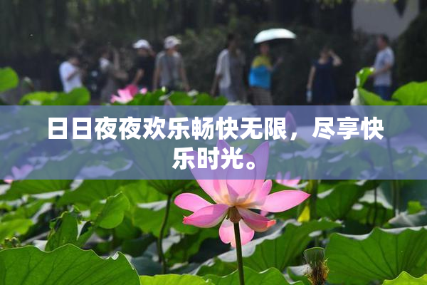 日日夜夜欢乐畅快无限，尽享快乐时光。