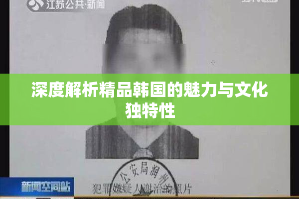 深度解析精品韩国的魅力与文化独特性