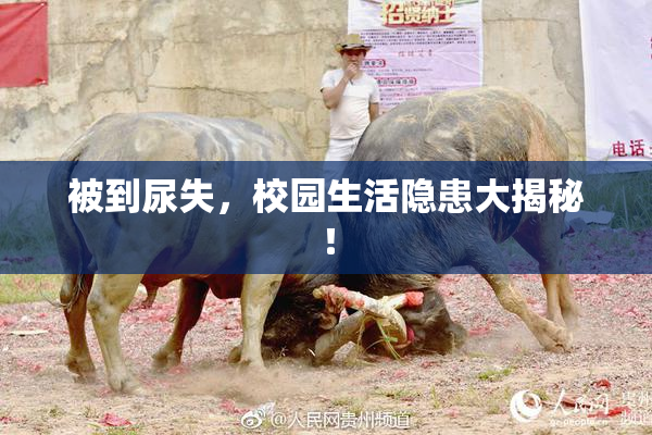 被到尿失，校园生活隐患大揭秘！