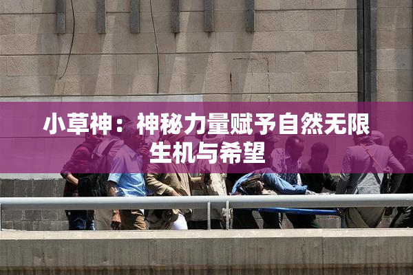 小草神：神秘力量赋予自然无限生机与希望