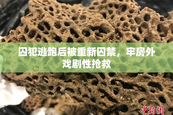 囚犯逃跑后被重新囚禁，牢房外戏剧性抢救