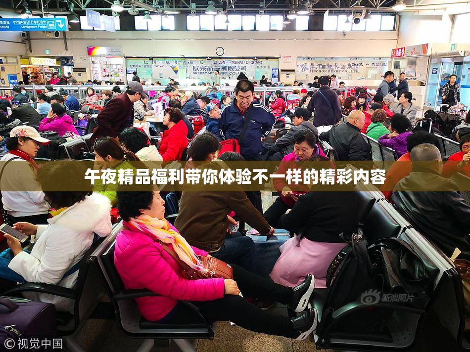 午夜精品福利带你体验不一样的精彩内容