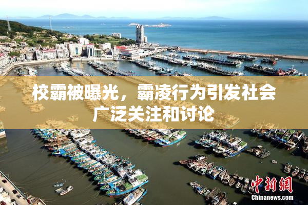 校霸被曝光，霸凌行为引发社会广泛关注和讨论