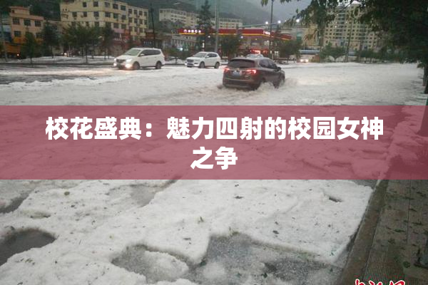 校花盛典：魅力四射的校园女神之争