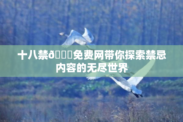 十八禁🔞免费网带你探索禁忌内容的无尽世界