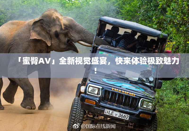 「蜜臀AV」全新视觉盛宴，快来体验极致魅力！