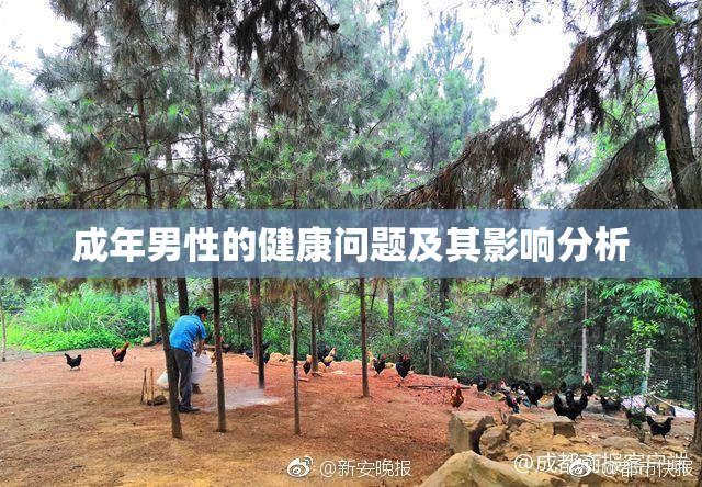 成年男性的健康问题及其影响分析