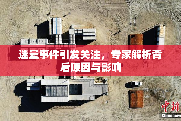 迷晕事件引发关注，专家解析背后原因与影响