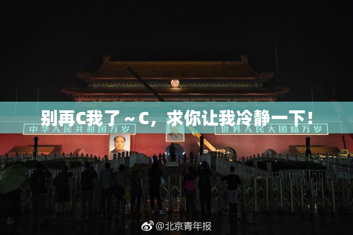 别再C我了～C，求你让我冷静一下！