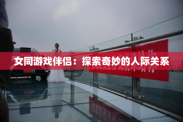 女同游戏伴侣：探索奇妙的人际关系