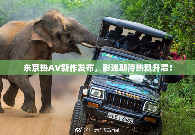 东京热AV新作发布，影迷期待热烈升温！