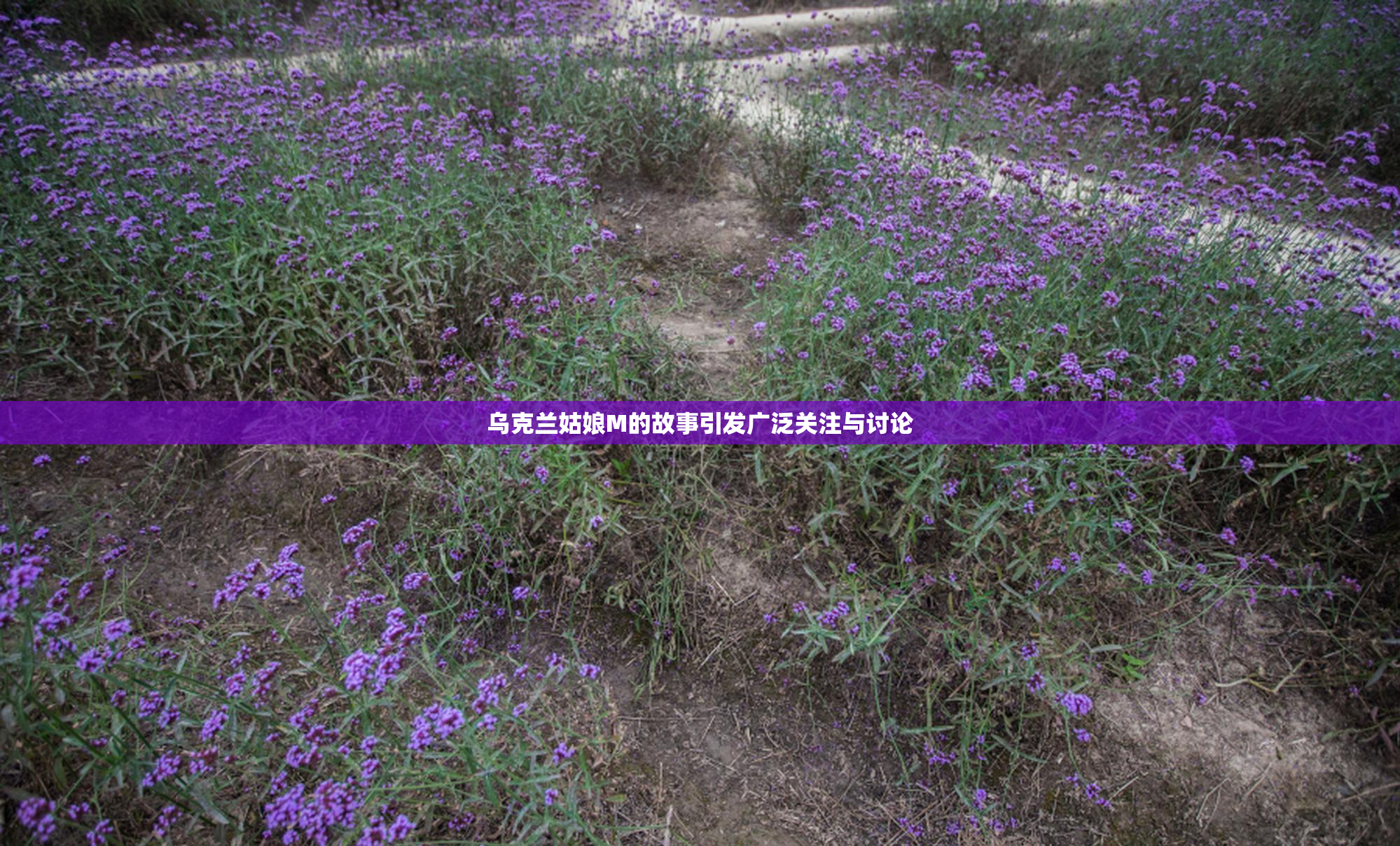 乌克兰姑娘M的故事引发广泛关注与讨论