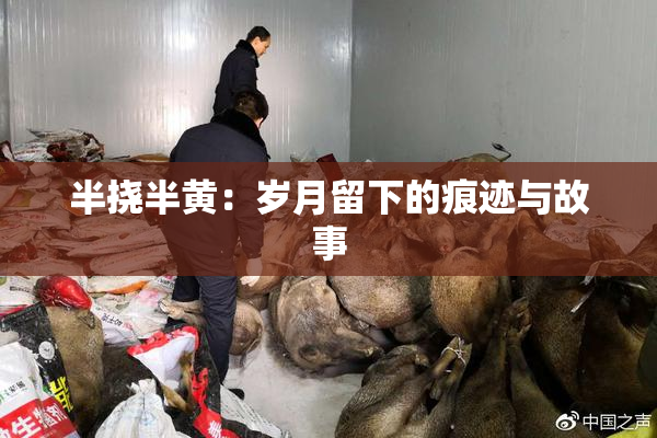 半挠半黄：岁月留下的痕迹与故事