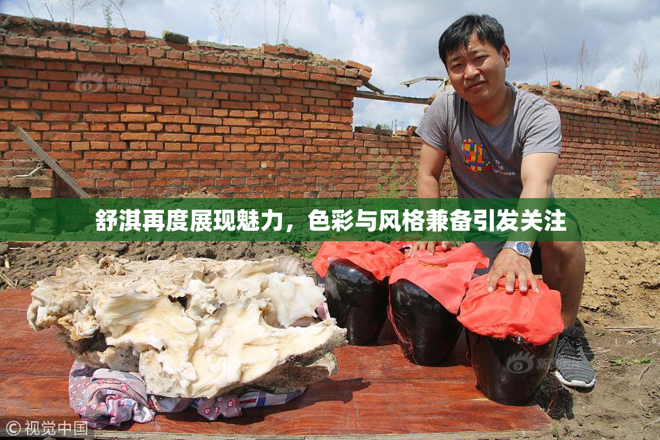 舒淇再度展现魅力，色彩与风格兼备引发关注