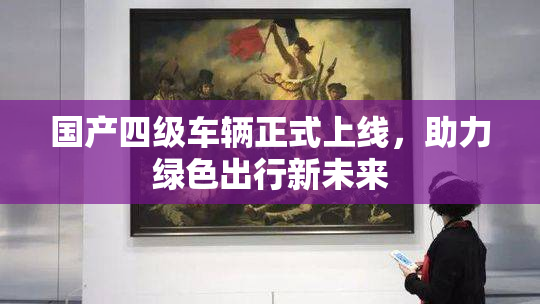 国产四级车辆正式上线，助力绿色出行新未来
