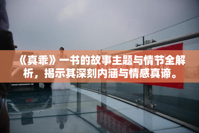 《真乖》一书的故事主题与情节全解析，揭示其深刻内涵与情感真谛。