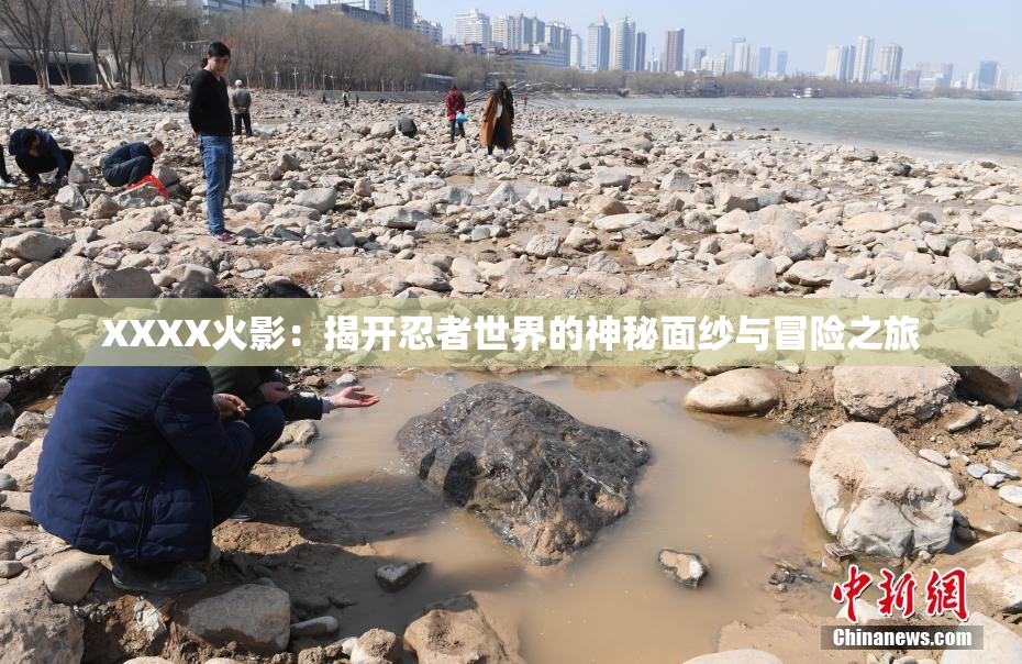 XXXX火影：揭开忍者世界的神秘面纱与冒险之旅