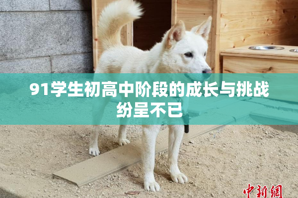 91学生初高中阶段的成长与挑战纷呈不已