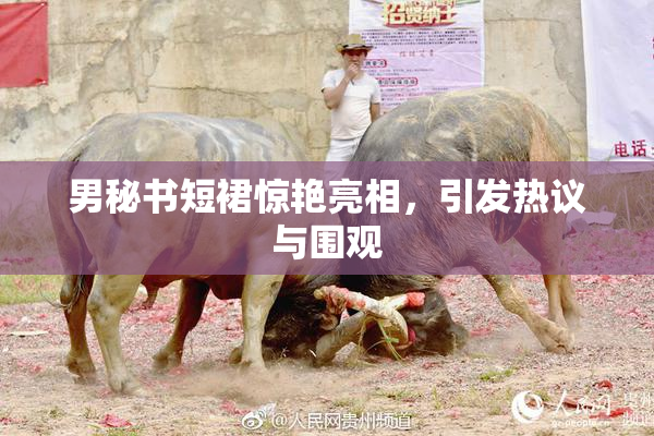 男秘书短裙惊艳亮相，引发热议与围观