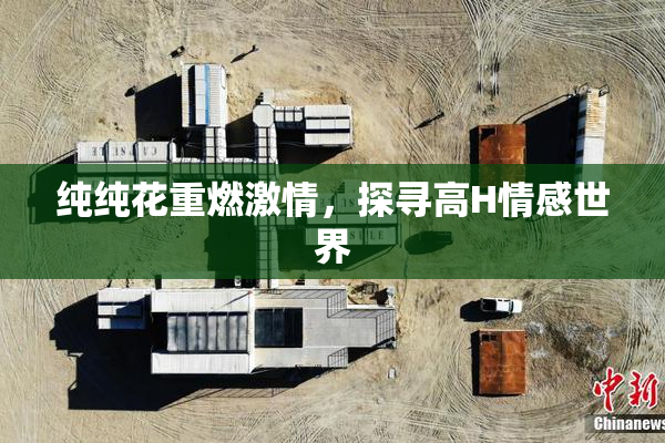纯纯花重燃激情，探寻高H情感世界