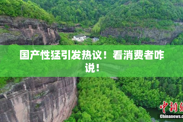 国产性猛引发热议！看消费者咋说！