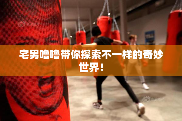 宅男噜噜带你探索不一样的奇妙世界！