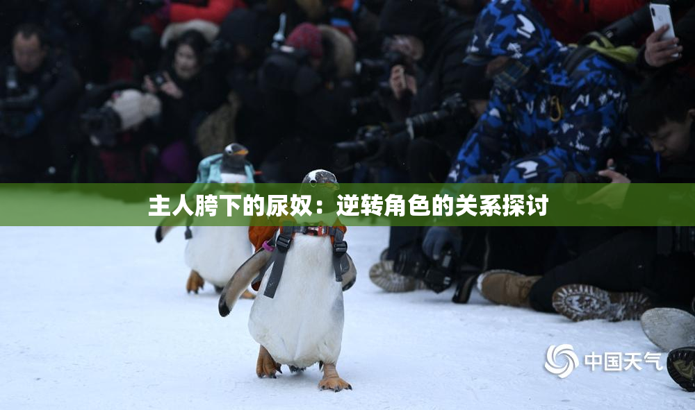 主人胯下的尿奴：逆转角色的关系探讨