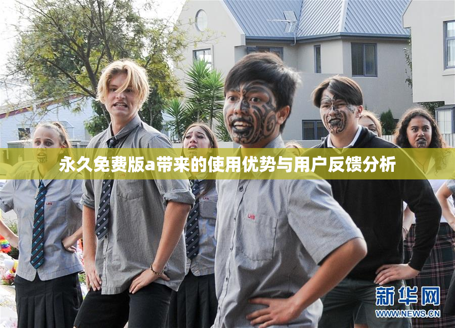 永久免费版a带来的使用优势与用户反馈分析