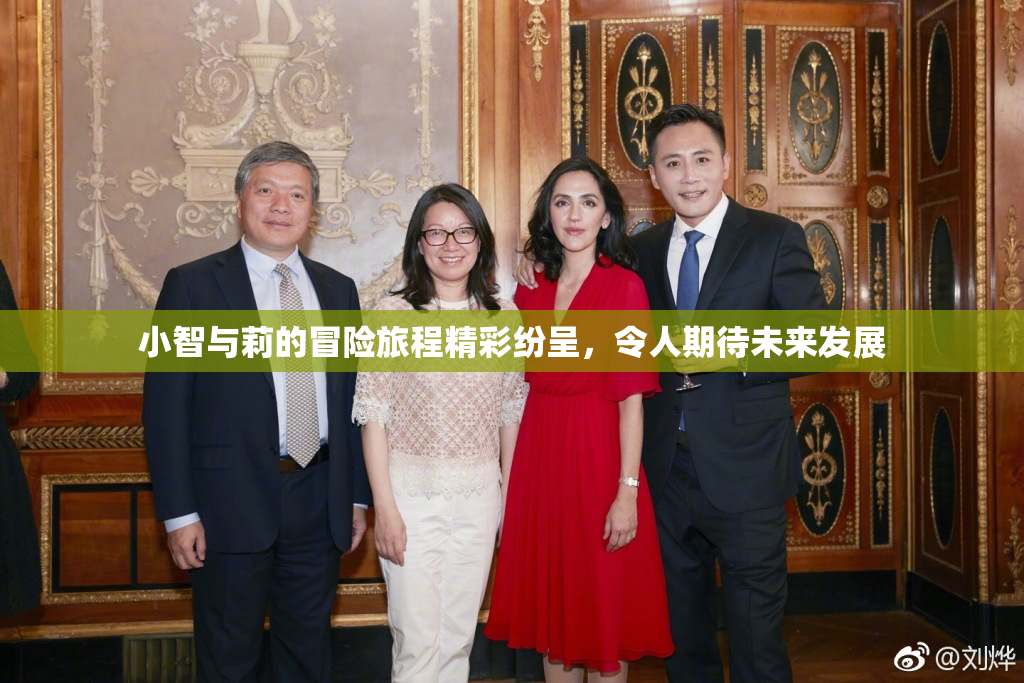 小智与莉的冒险旅程精彩纷呈，令人期待未来发展