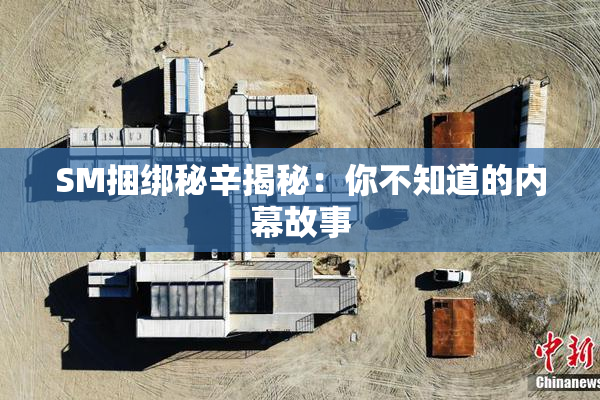 SM捆绑秘辛揭秘：你不知道的内幕故事