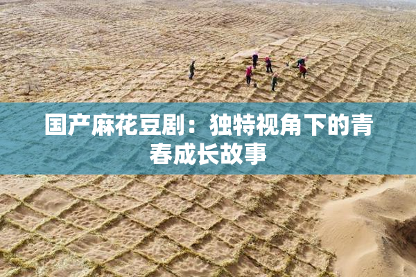 国产麻花豆剧：独特视角下的青春成长故事