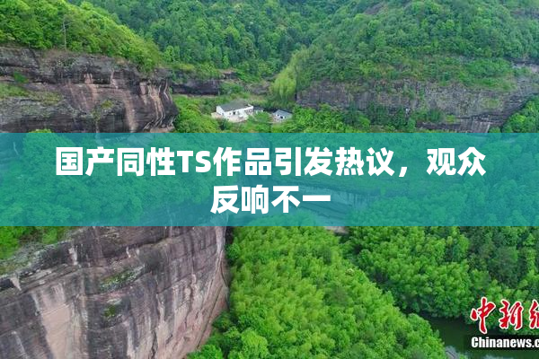 国产同性TS作品引发热议，观众反响不一