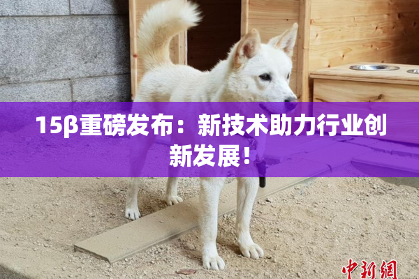 15β重磅发布：新技术助力行业创新发展！