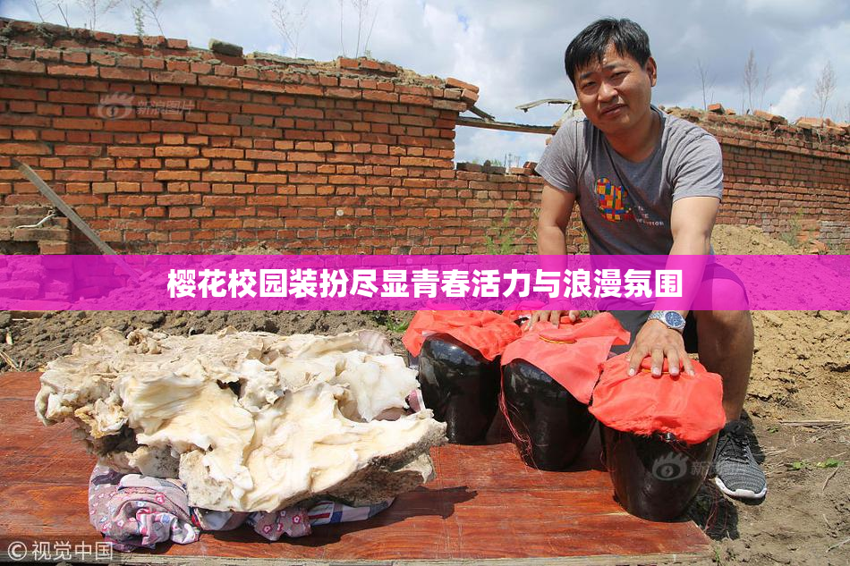 樱花校园装扮尽显青春活力与浪漫氛围