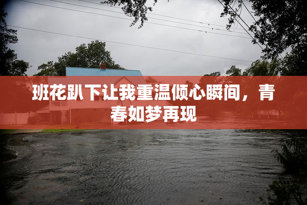 班花趴下让我重温倾心瞬间，青春如梦再现