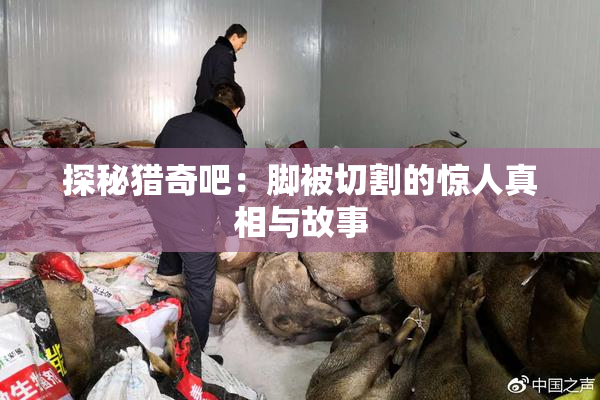 探秘猎奇吧：脚被切割的惊人真相与故事