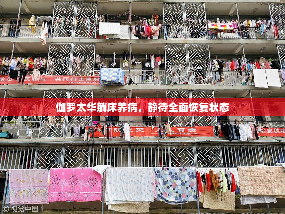 伽罗太华躺床养病，静待全面恢复状态