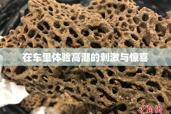 在车里体验高潮的刺激与惊喜
