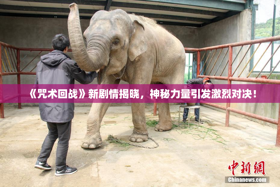 《咒术回战》新剧情揭晓，神秘力量引发激烈对决！