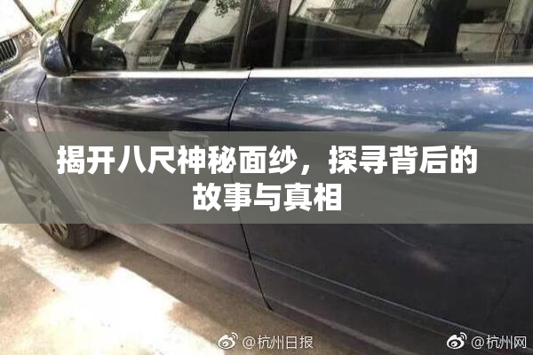 揭开八尺神秘面纱，探寻背后的故事与真相