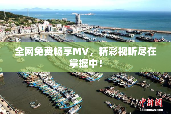 全网免费畅享MV，精彩视听尽在掌握中！