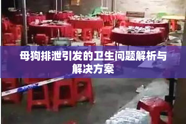 母狗排泄引发的卫生问题解析与解决方案