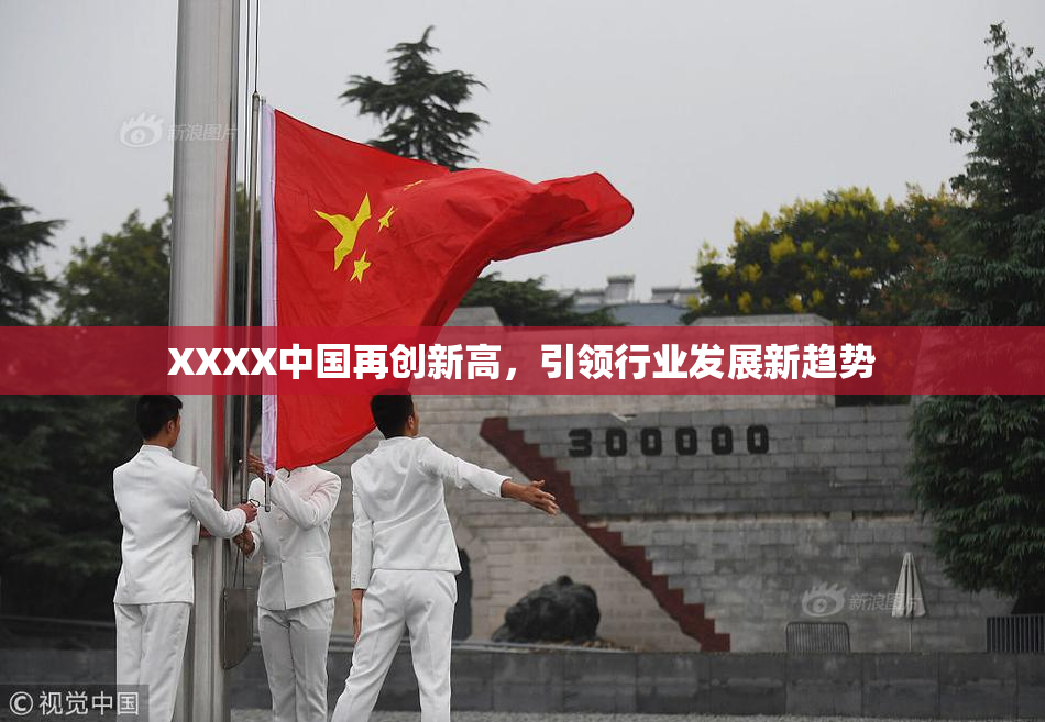 XXXX中国再创新高，引领行业发展新趋势