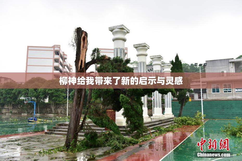 柳神给我带来了新的启示与灵感