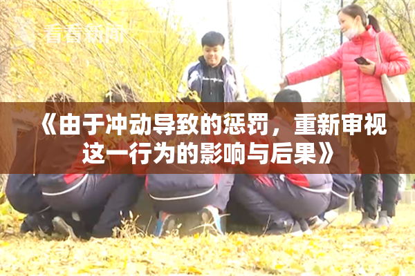《由于冲动导致的惩罚，重新审视这一行为的影响与后果》