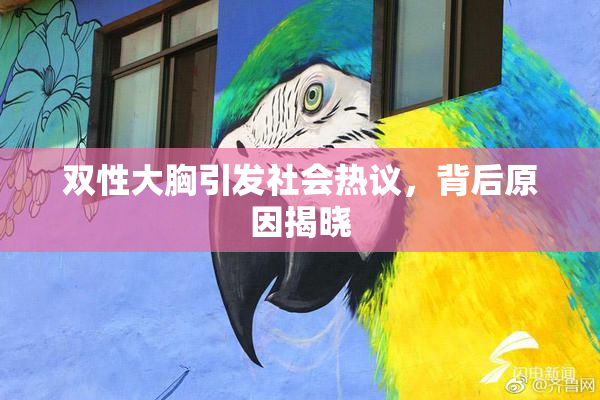 双性大胸引发社会热议，背后原因揭晓