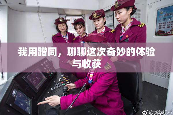 我用蹭同，聊聊这次奇妙的体验与收获