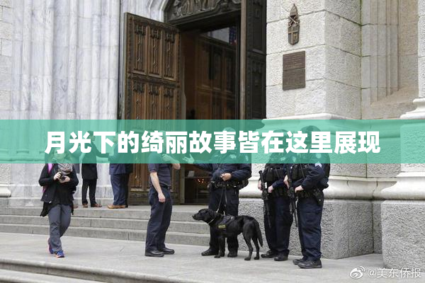月光下的绮丽故事皆在这里展现