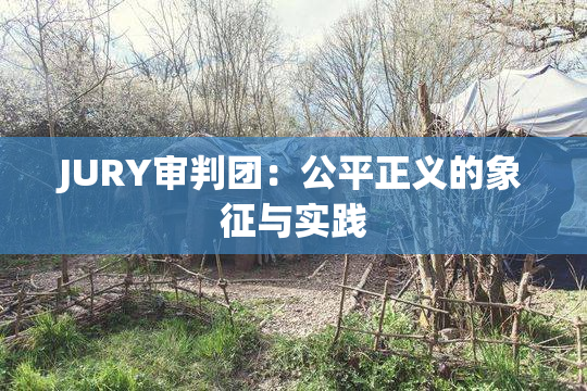 JURY审判团：公平正义的象征与实践