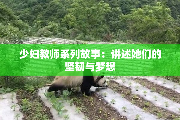 少妇教师系列故事：讲述她们的坚韧与梦想